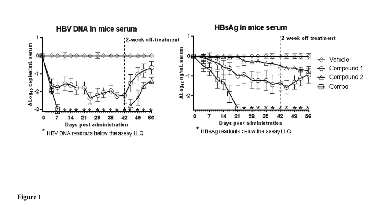 Combined treatment with a tlr7 agonist and an hbv capsid assembly inhibitor