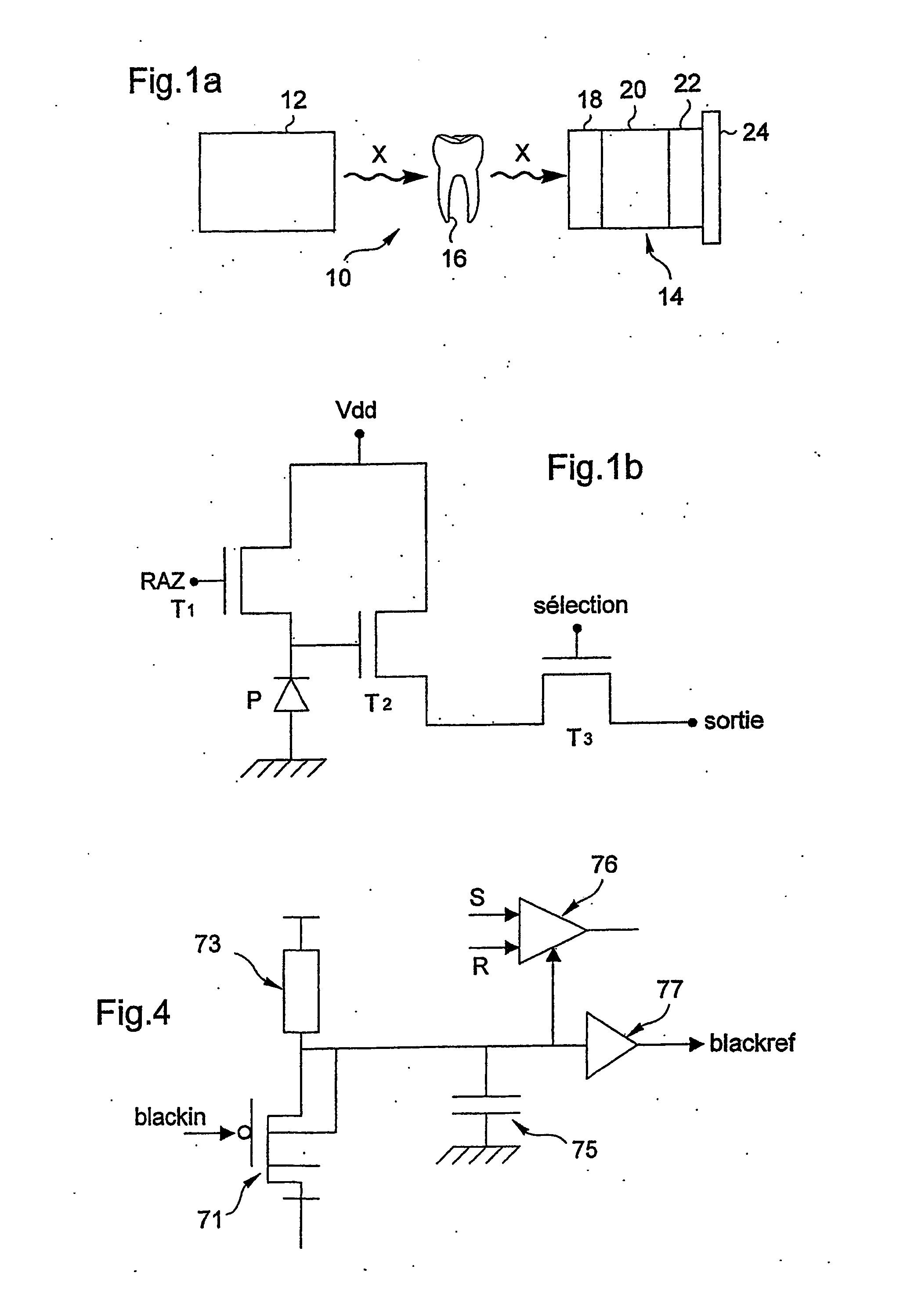 Dental Radiology Apparatus and Signal Processing Method Used Therewith