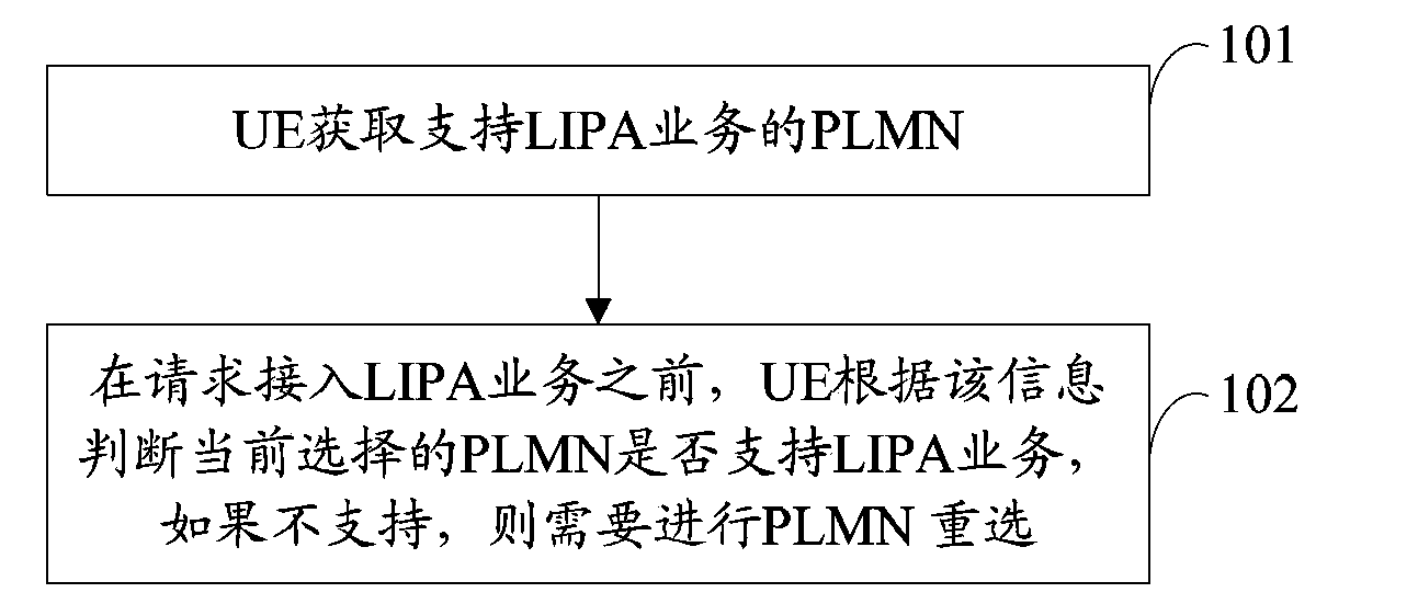 Method for supporting correct establishment of local IP access (LIPA) service