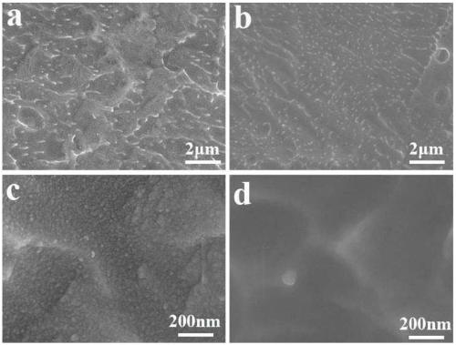 A kind of medical titanium-based metal material and its manufacturing method