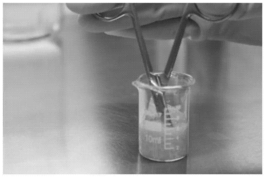 Method for culturing mesenchymal stem cell from umbilical cord and application thereof