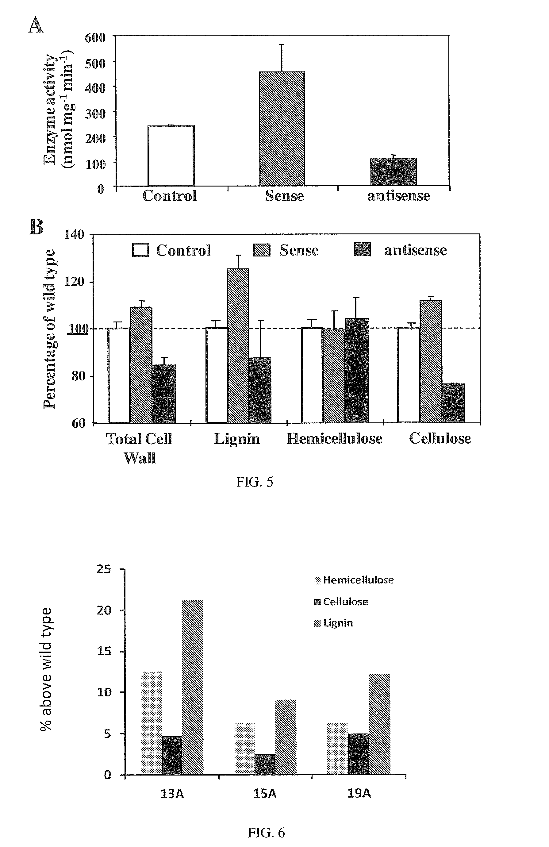 Use of fructokinases and sucrose synthases for increasing cell wall polymers