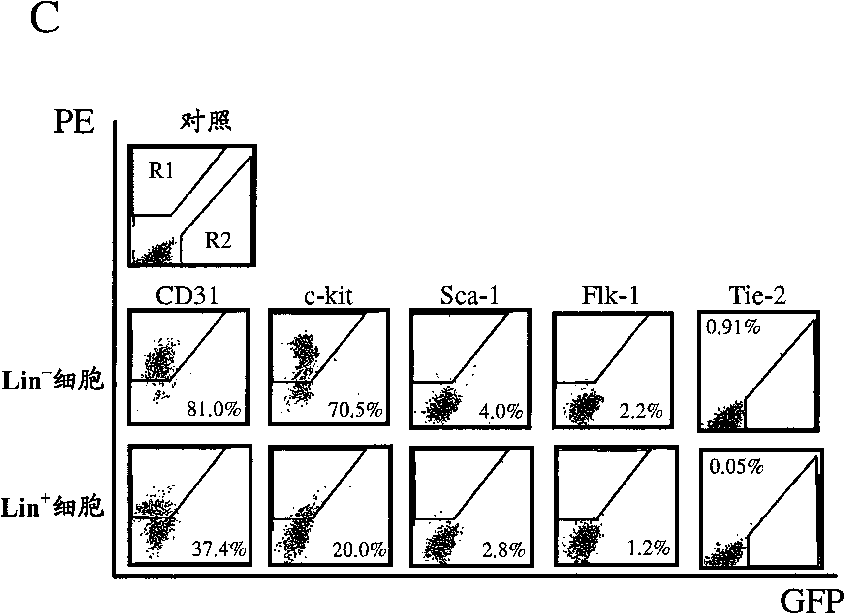 Isolated myeloid-like cell populations and methods of treatment therewith