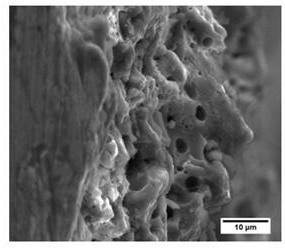 A method for preparing porous bioceramic membranes by micro-arc oxidation