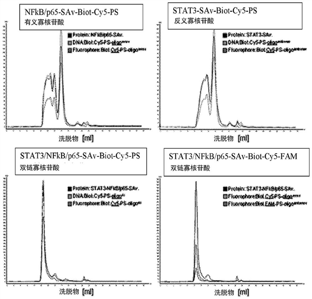 Cell penetrating protein-antibody conjugates and methods of use thereof