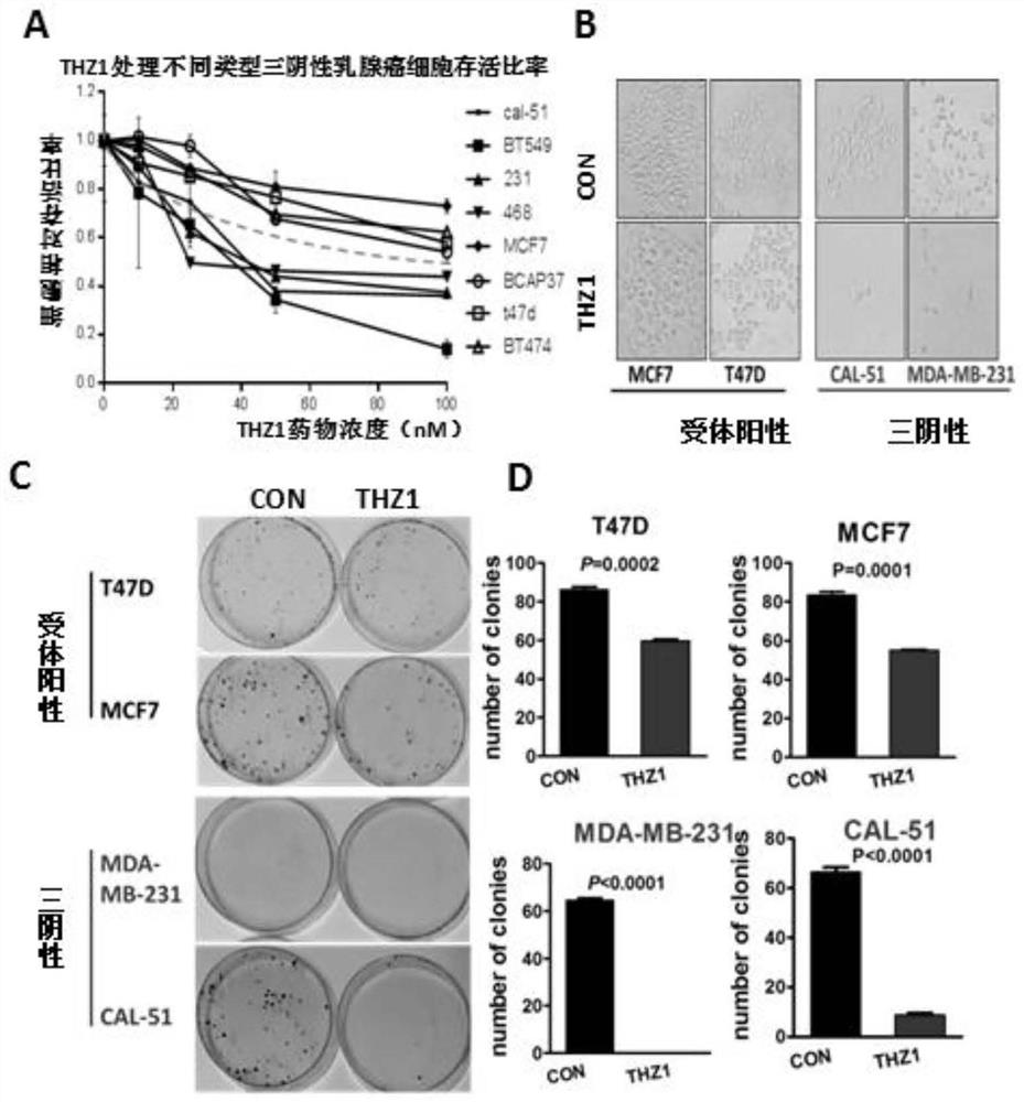 Application of compound for targeted inhibition of CDK7 in preparation of inhibited triple negative breast cancer stem cells