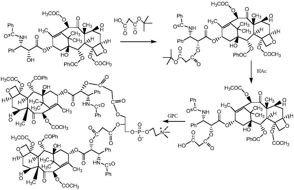 A paclitaxel phospholipid compound, its pharmaceutical composition and application