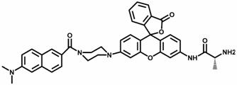 A two-photon ratiometric fluorescent probe compound for aminopeptidase n detection and its preparation method