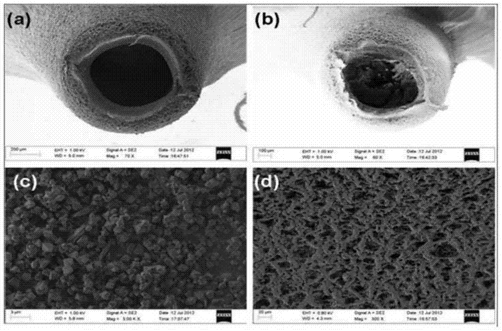 Micro solid phase extraction probe made by MIL-101 type metal organic framework (MOF) material and preparation method of probe