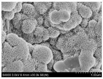 Ball-flower-like V-doped Ni3S2/NF self-supporting electrode material and preparation method thereof