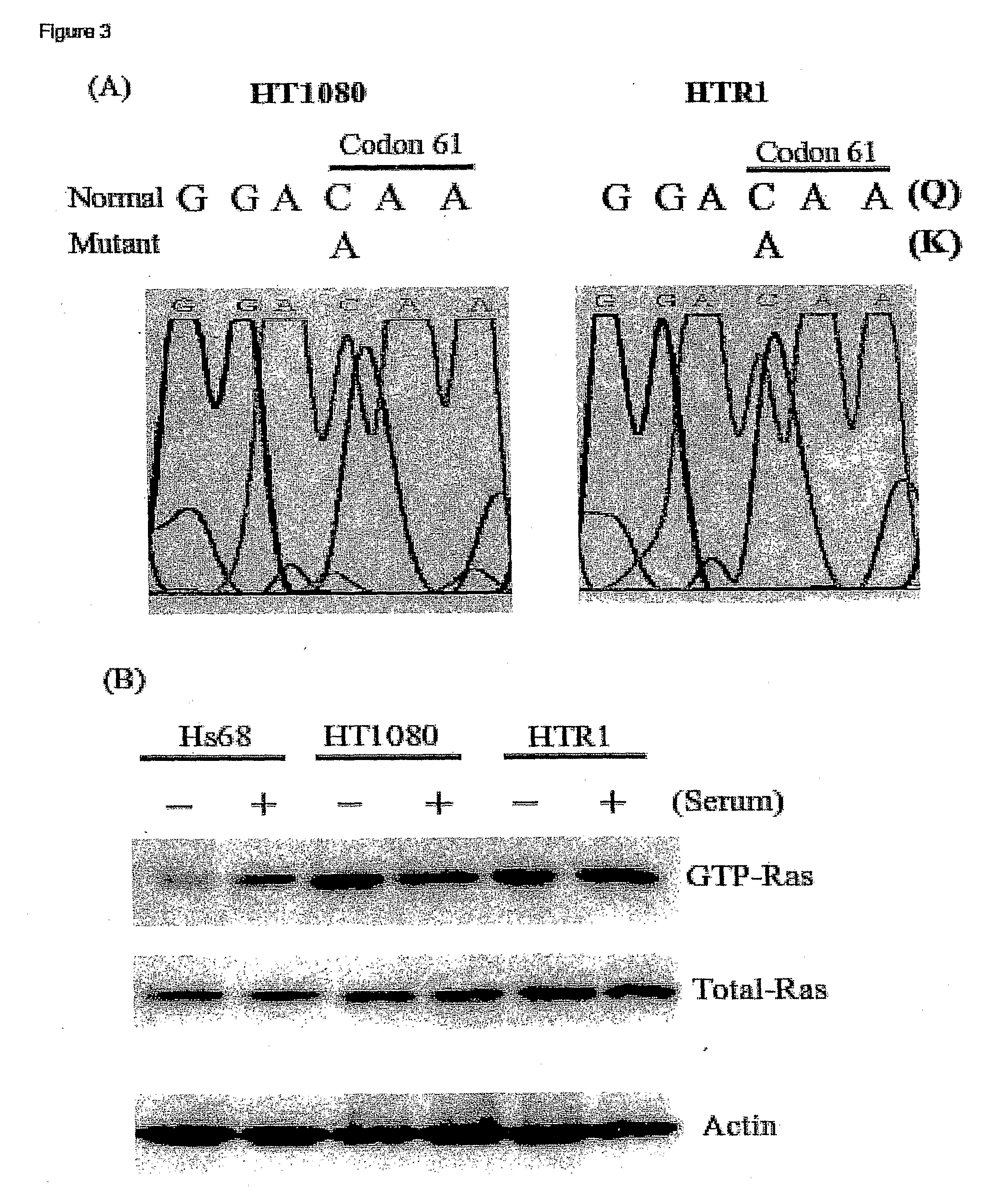 Attenuated reovirus