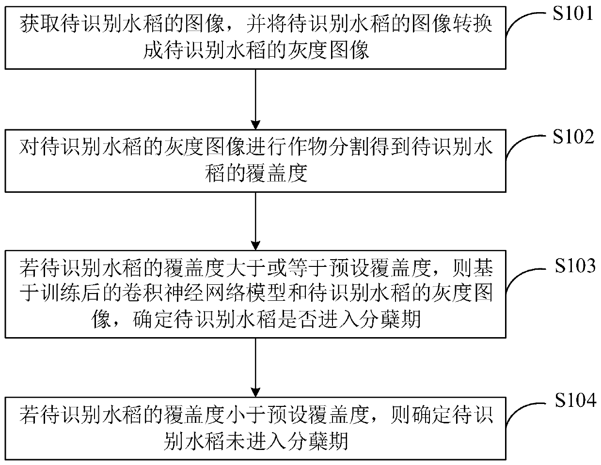 Rice tillering stage identification method and terminal equipment