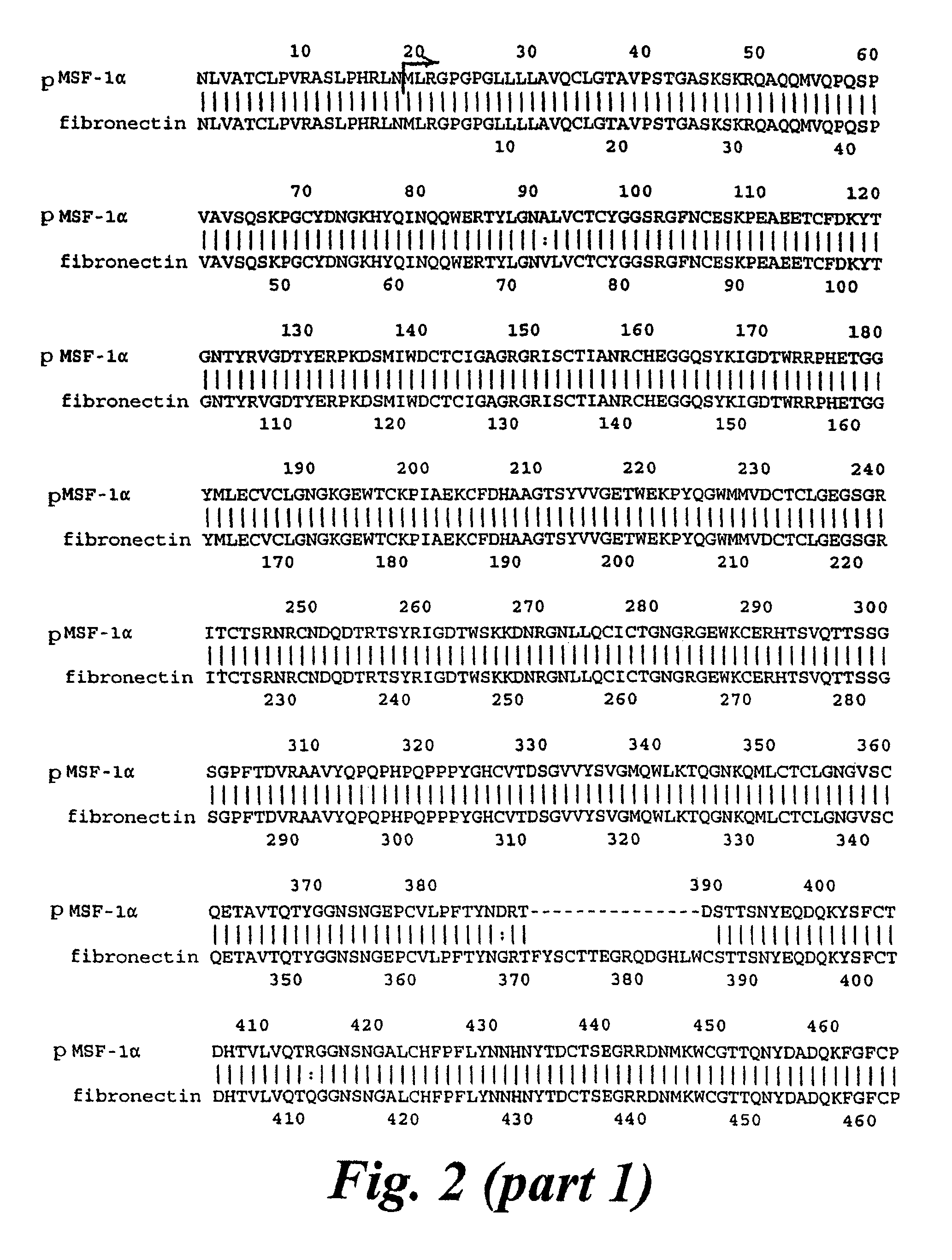 Polypeptides, polynucleotides and uses thereof