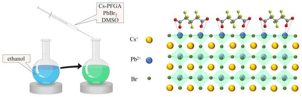 Preparation and application of CsPbBr3 perovskite nanocrystal passivated by perfluoroglutaric acid