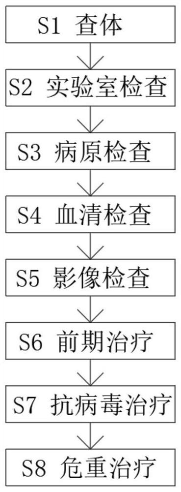 Systematic novel anti-virus treatment method for coronavirus pneumonia