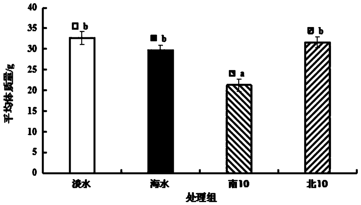 Long-term safe breeding method for lateolabrax japonicus juvenile fish