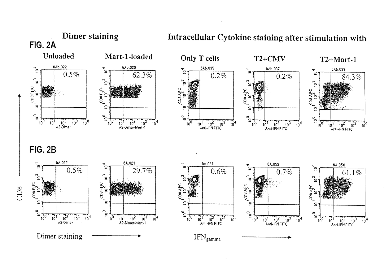 Reagents and Methods for Engaging Unique Clonotypic Lymphocyte Receptors