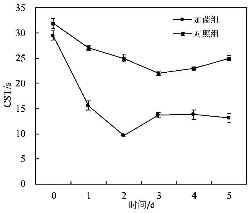 A method for improving dewatering performance of citric acid wastewater sludge by using Penicillium oxalicum