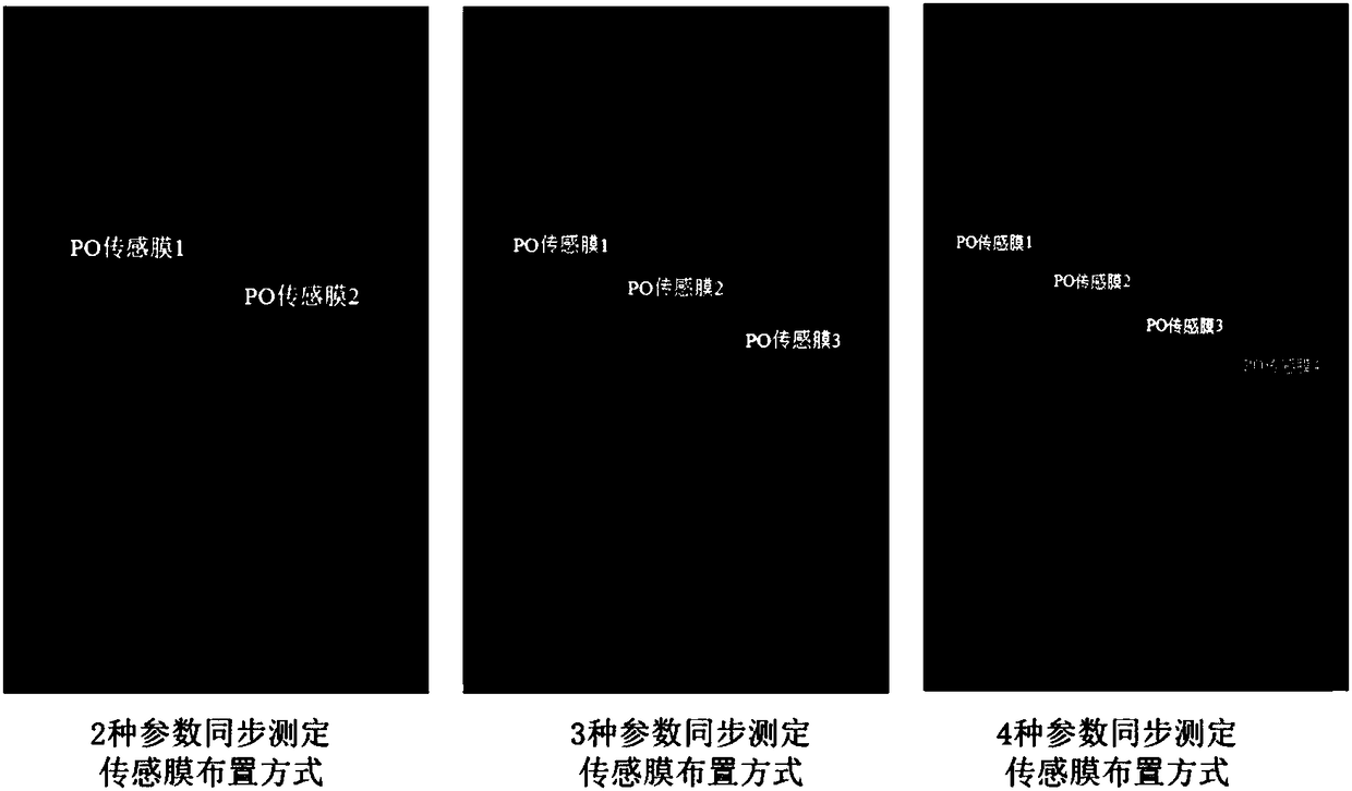 In-situ synchronous monitoring method of wet land soil