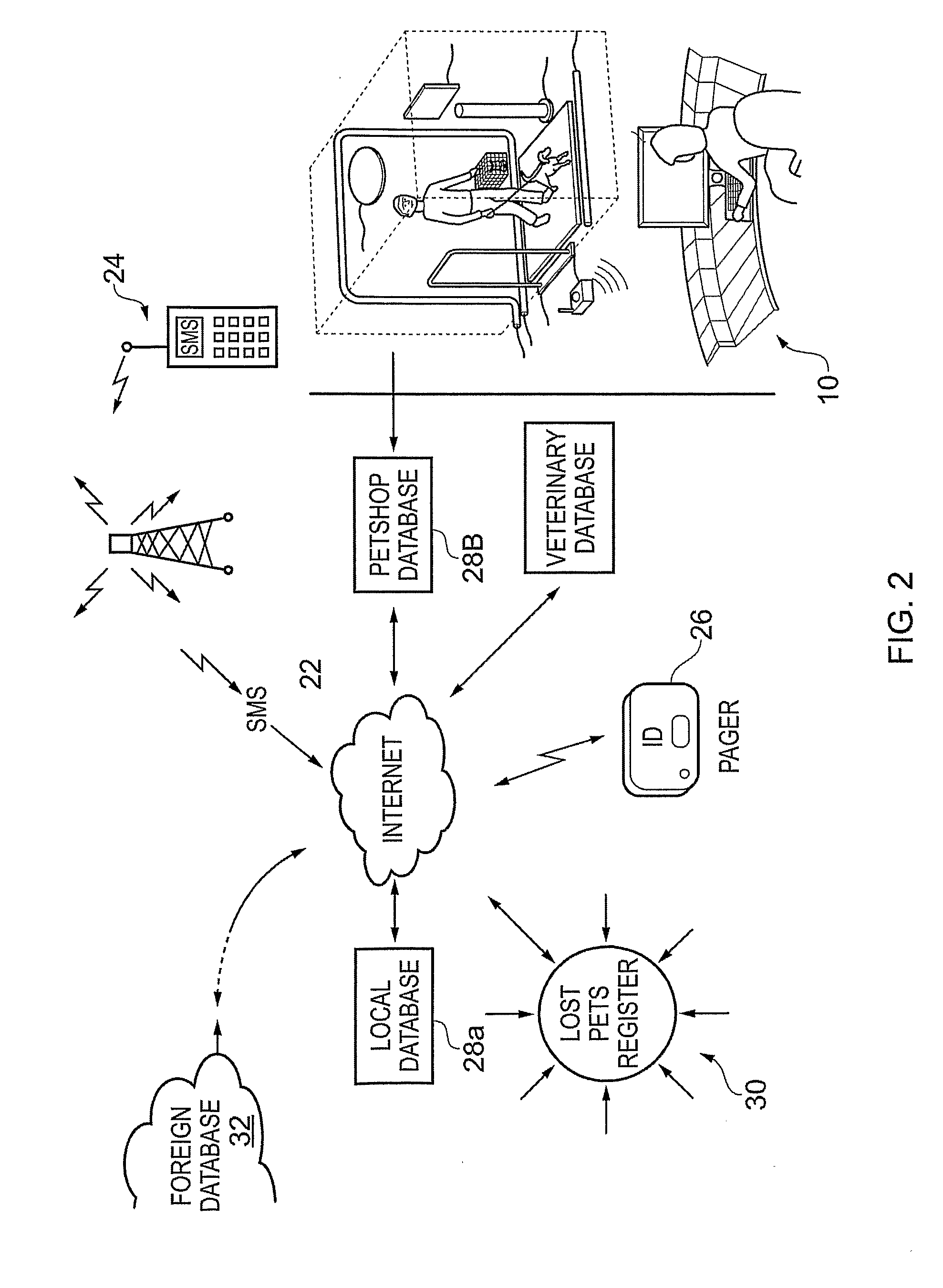 Animal identification system and related method