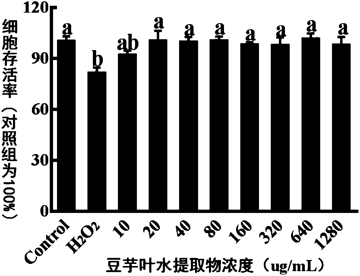 Preparation method for taro leaf water extract and anti-oxidization use of taro leaf water extract