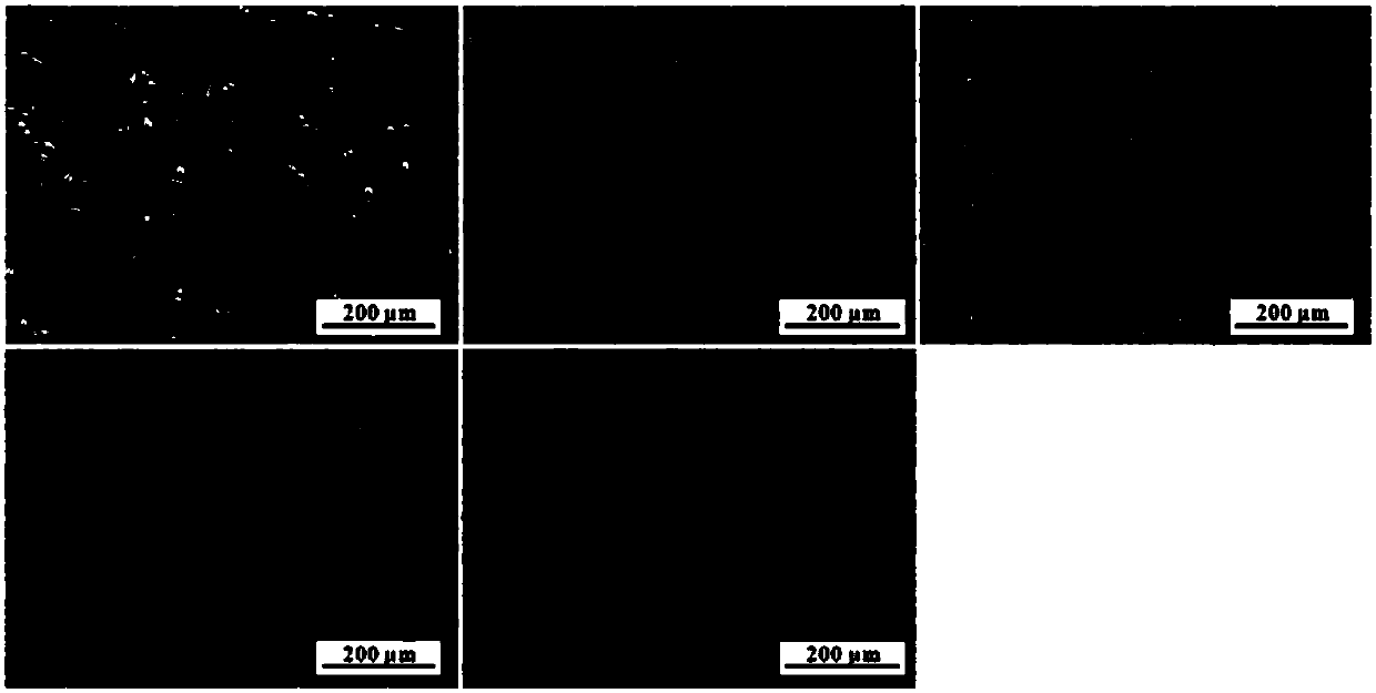 Preparation method for taro leaf water extract and anti-oxidization use of taro leaf water extract