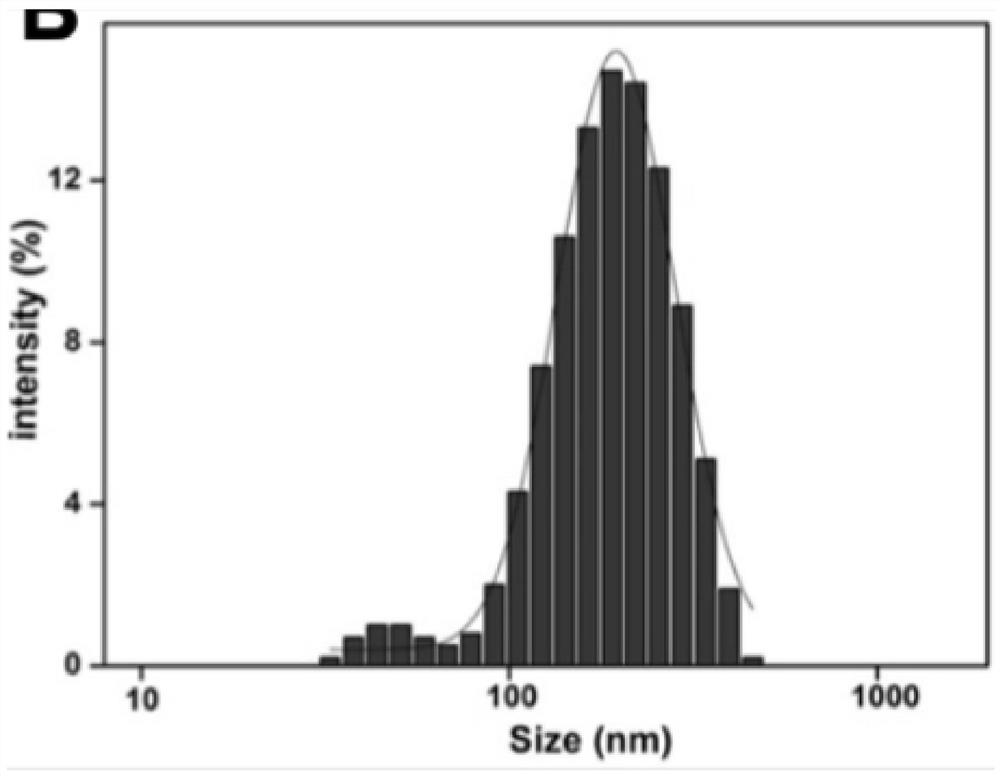 Preparation method of calcium phosphate-rapamycin compound drug, preparation method of drug-coated balloon, and drug-coated balloon