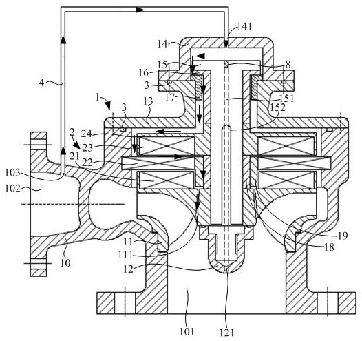 Rare earth permanent magnet motor driven centrifugal pump and self-lubricating method