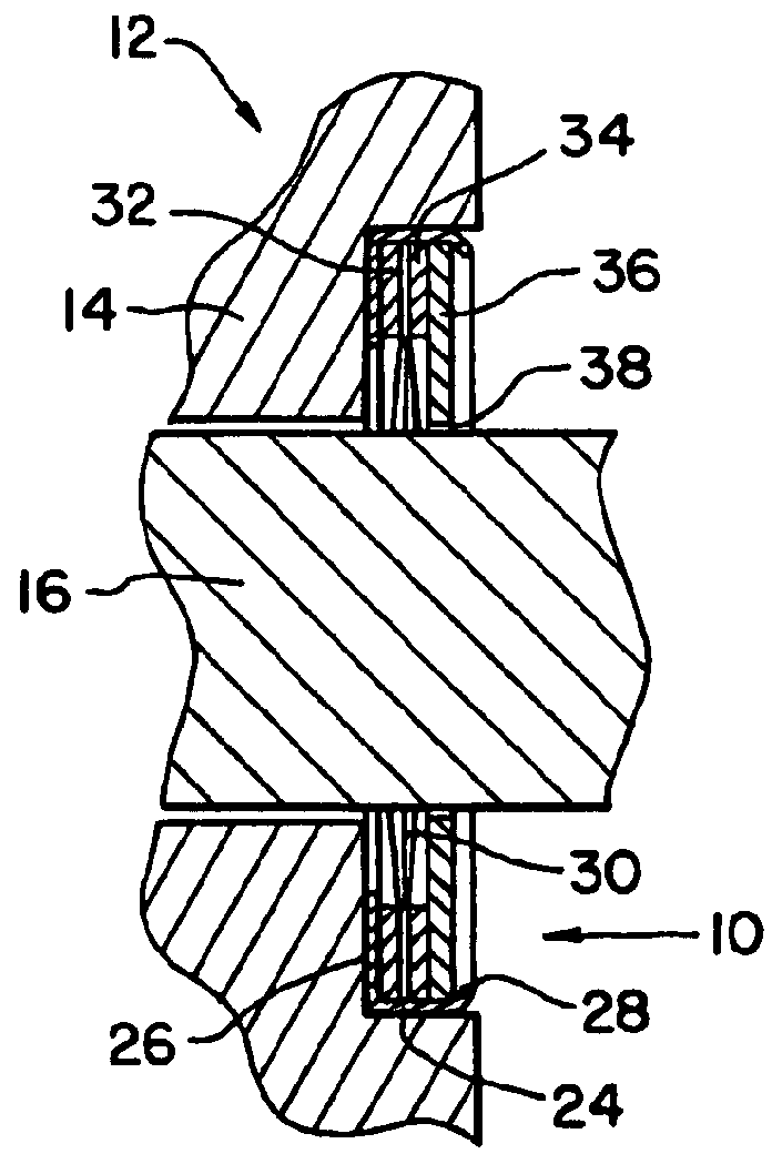 Shaft current control brush ring assembly