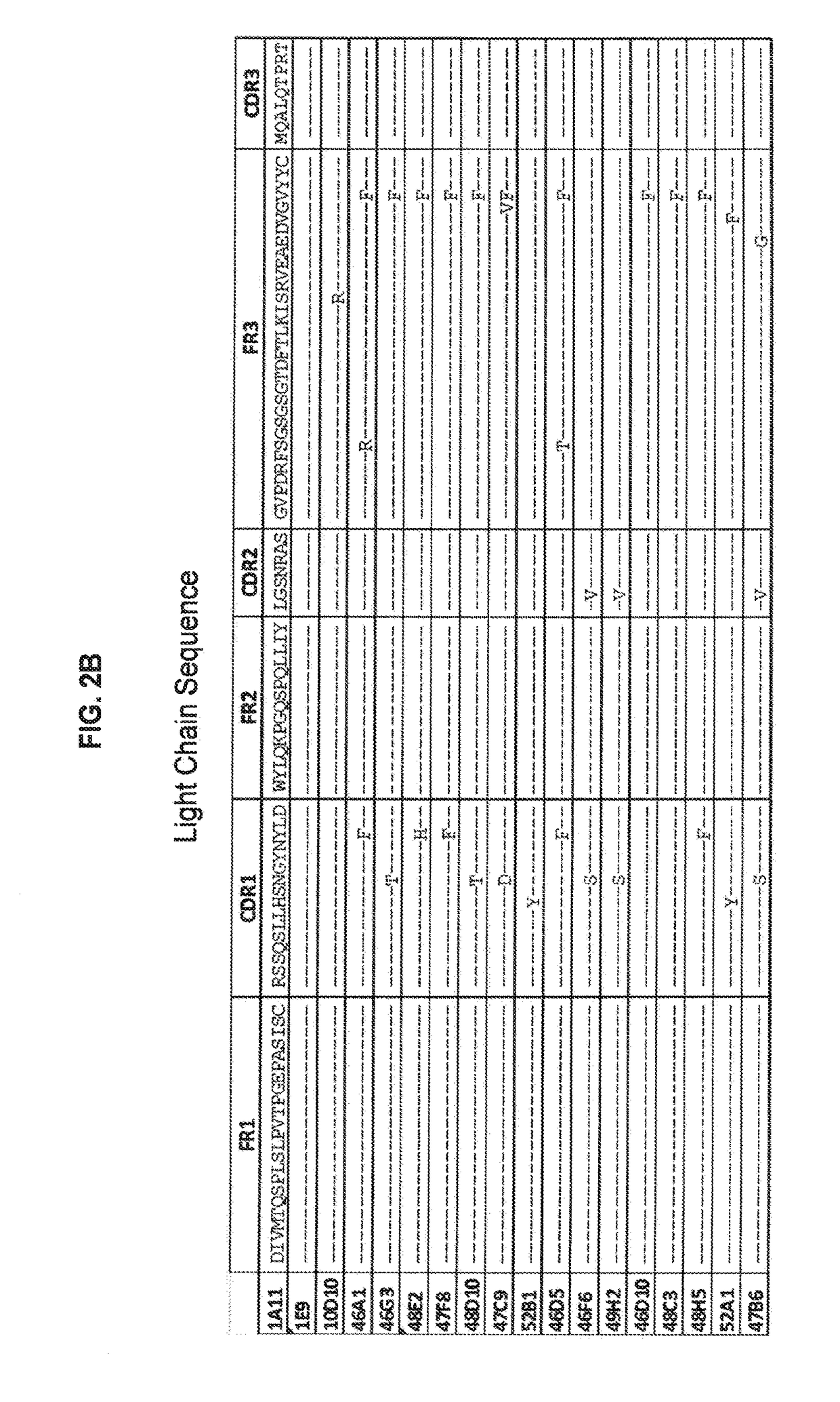 Cannabinoid receptor-1 (CB1) monoclonal antibodies