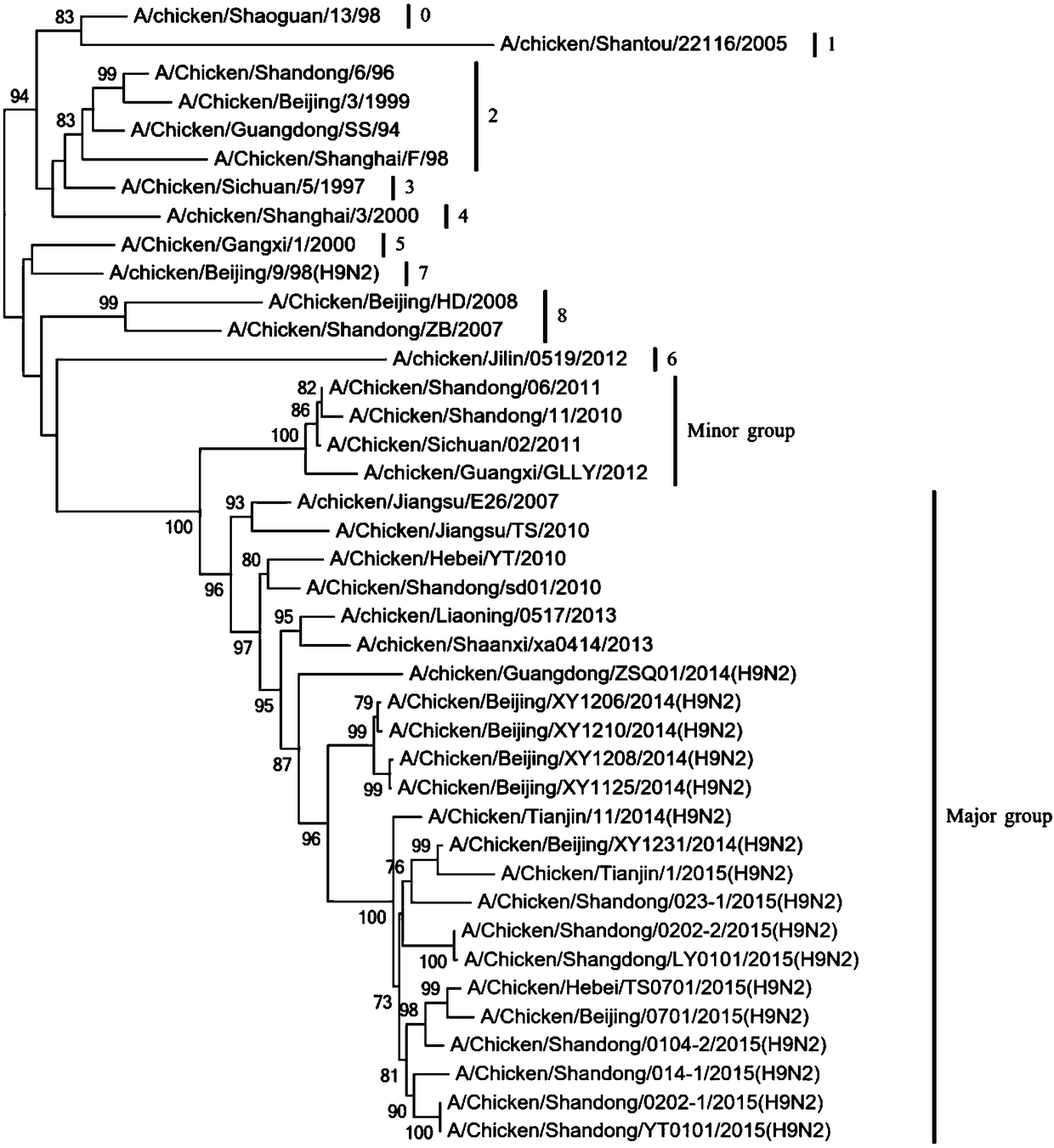 Recombinant turkey herpesvirus expressing H9N2 subtype avian influenza virus (AIV) H9 proteins