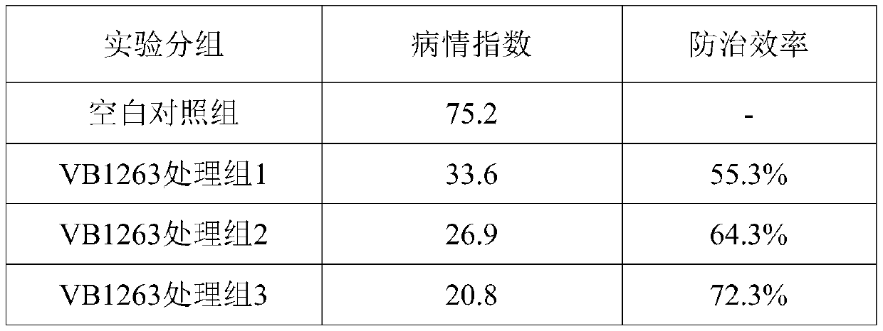 Bacillus methylotrophicus and application thereof in agricultural production