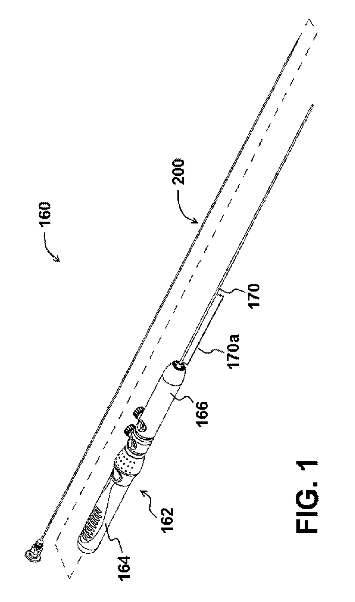 Endoscopic biopsy needle with coil sheath