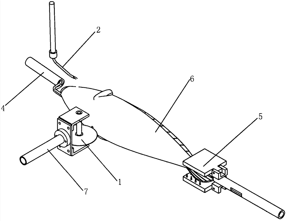 Fish skin automatic peeling device