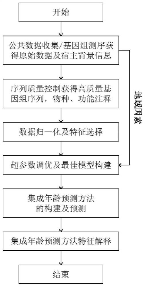 Age prediction method based on ensemble learning of intestinal flora prediction model