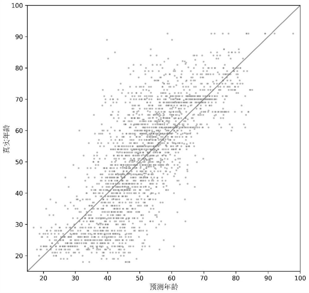 Age prediction method based on ensemble learning of intestinal flora prediction model