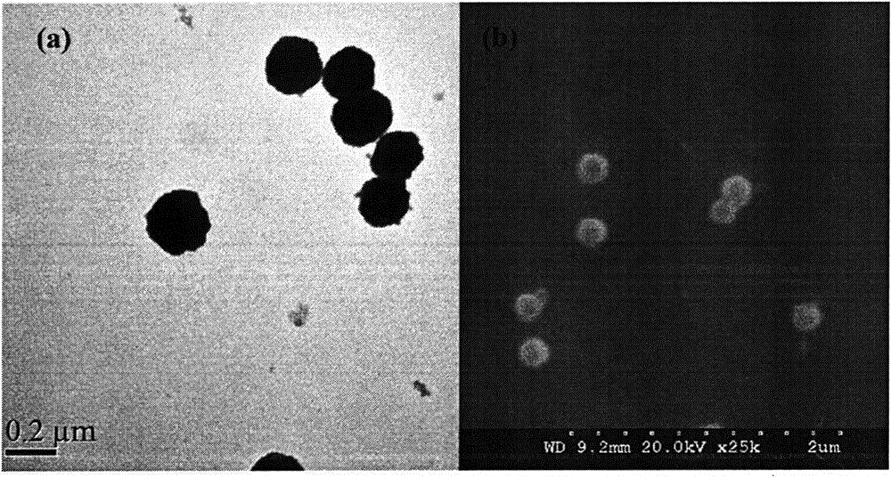 Preparation method of mixed hemi-micelle solid phase extractant based on Fe3O4 magnetic nanoparticles