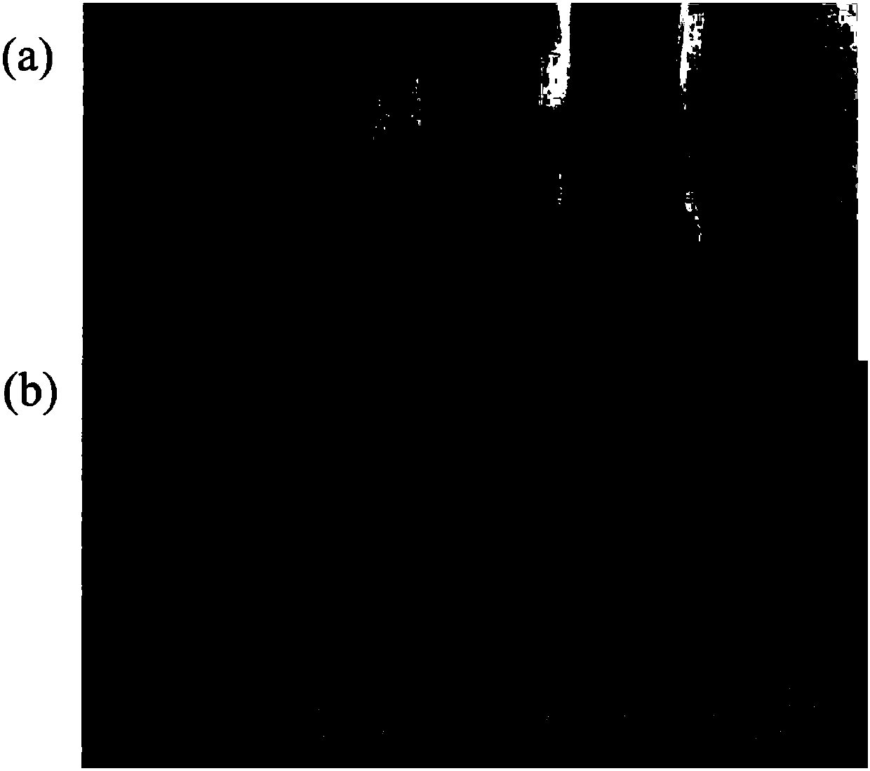 Two-channel copper ion detection test paper and production method thereof