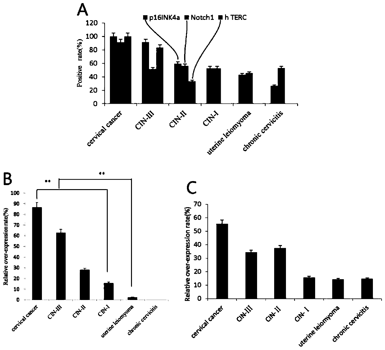 Application of Notch1, p16&lt;INK4a&gt; and hTERC genes as screening markers for cervical cancer