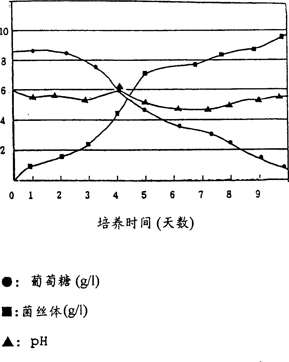 Immune stimulated holoside substance of bacterial strain from wood layer hole strain and its application