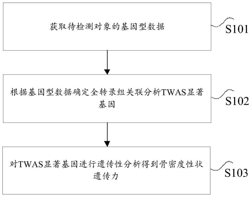 Method and device for analyzing heritability of bone density traits