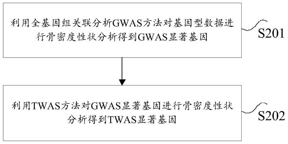 Method and device for analyzing heritability of bone density traits