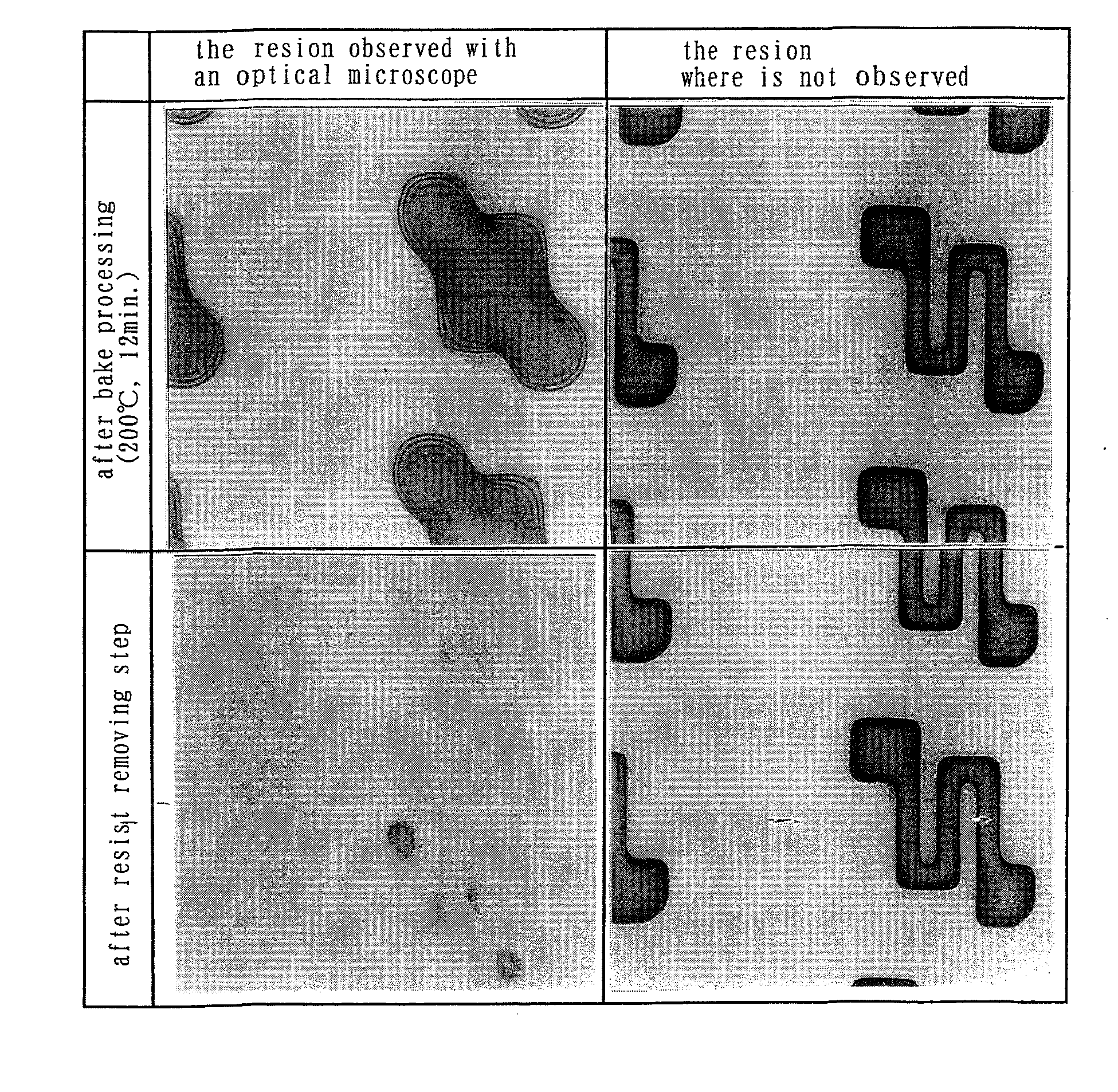 Method of Fabricating Semiconductor Device, and Developing Apparatus Using the Method