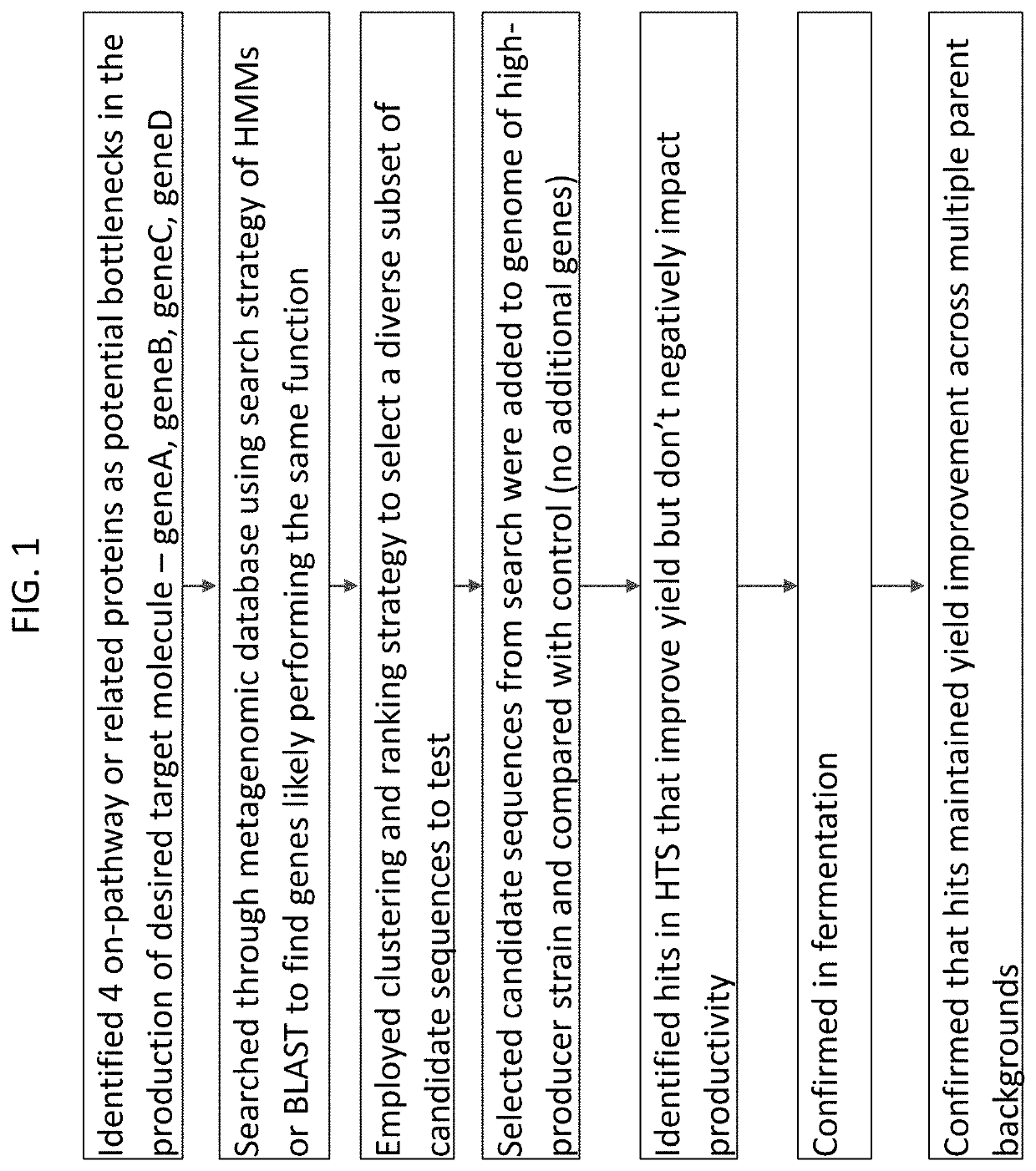 Methods and systems for the optimization of a biosynthetic pathway