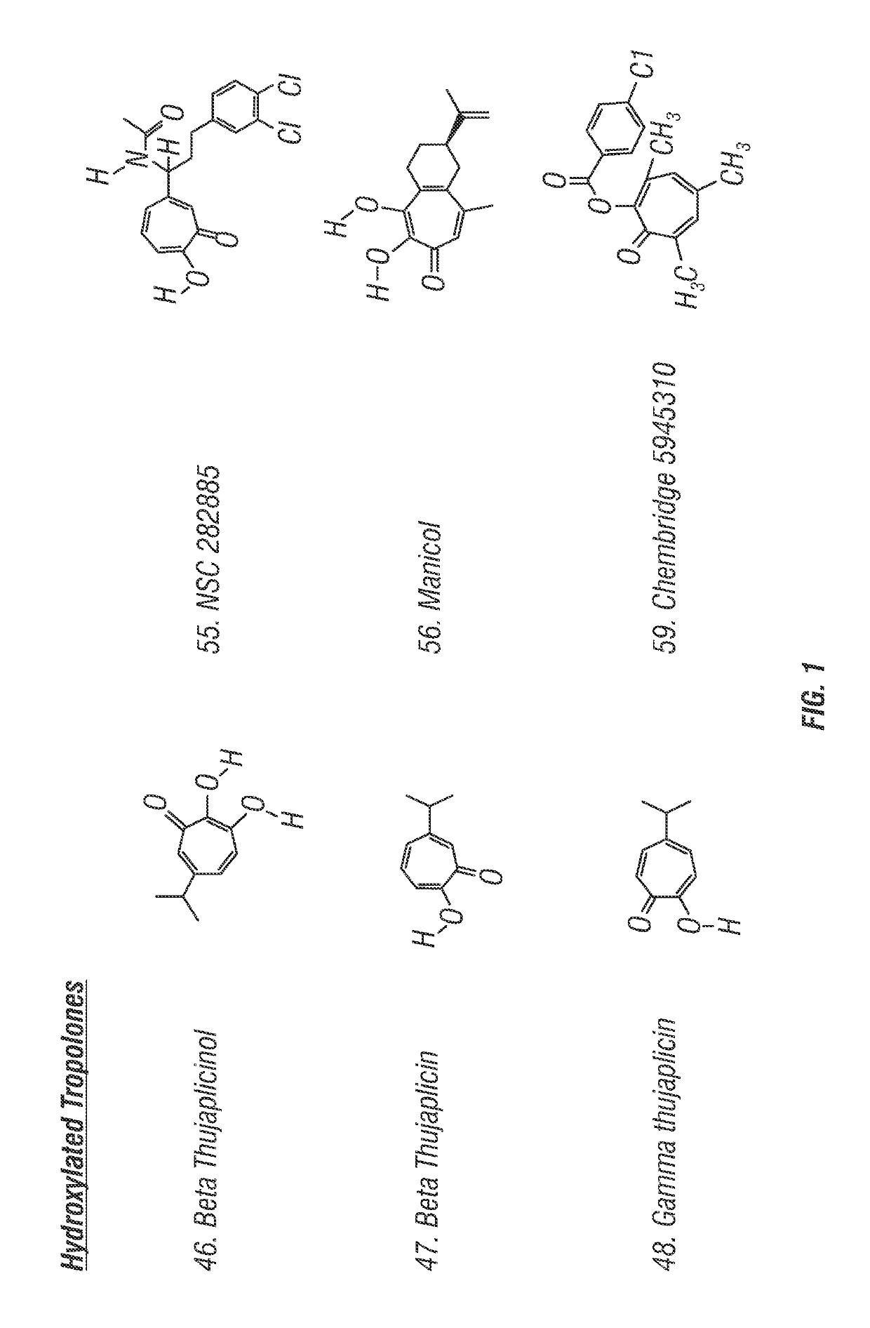 Inhibitors of HSV nucleotidyl transferases and uses therefor