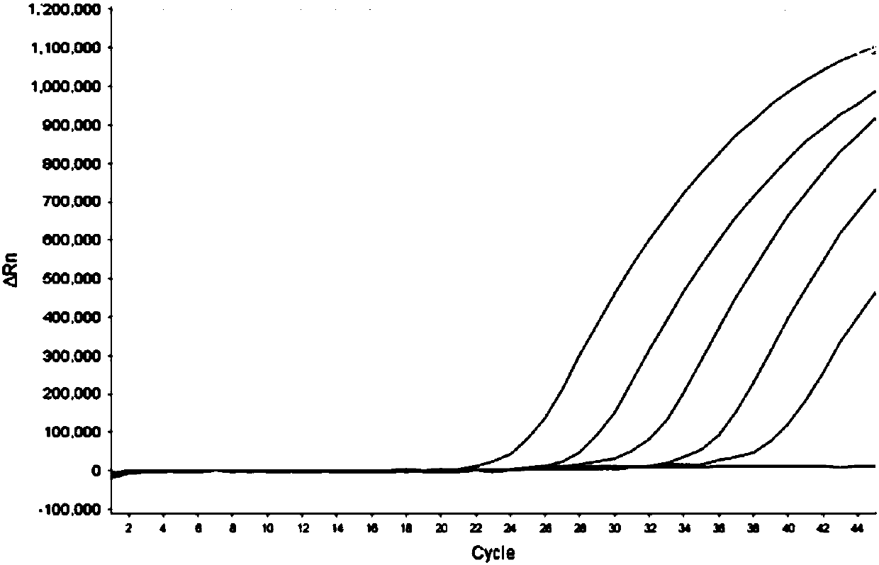 Nucleic acids, kit and method for simultaneously detecting four pathogens of blueberry diseases