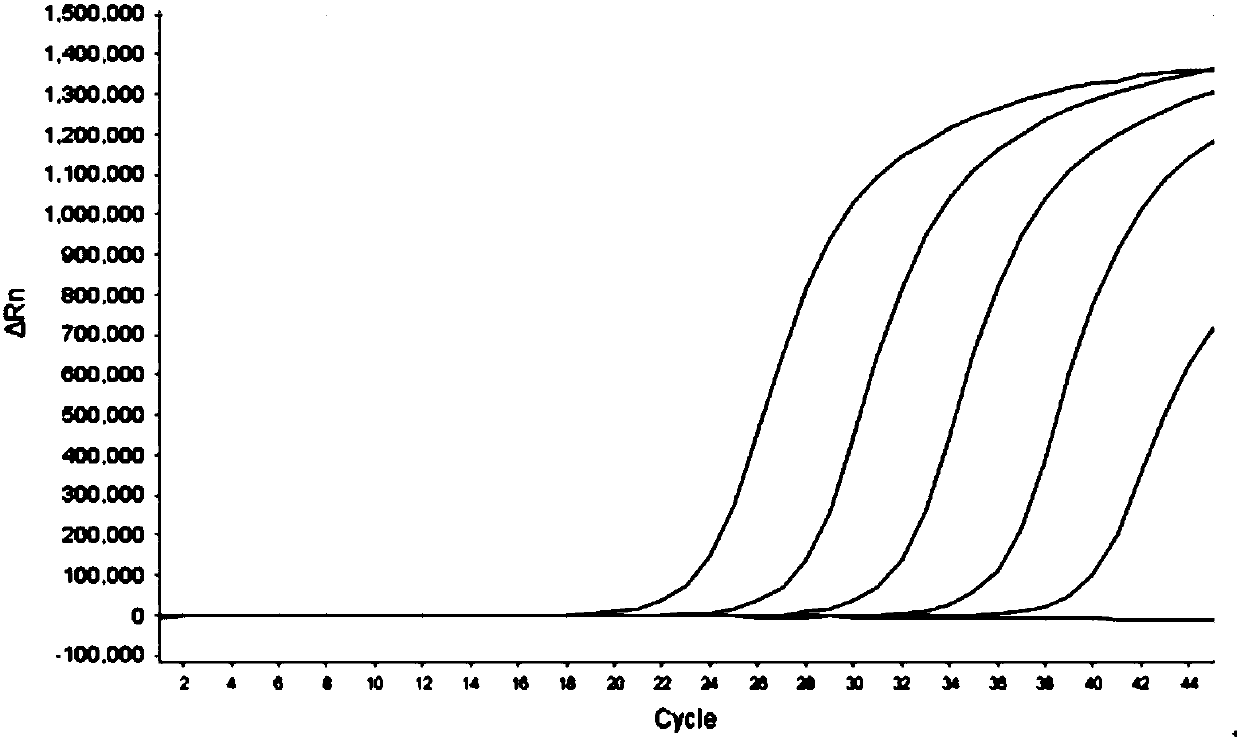 Nucleic acids, kit and method for simultaneously detecting four pathogens of blueberry diseases