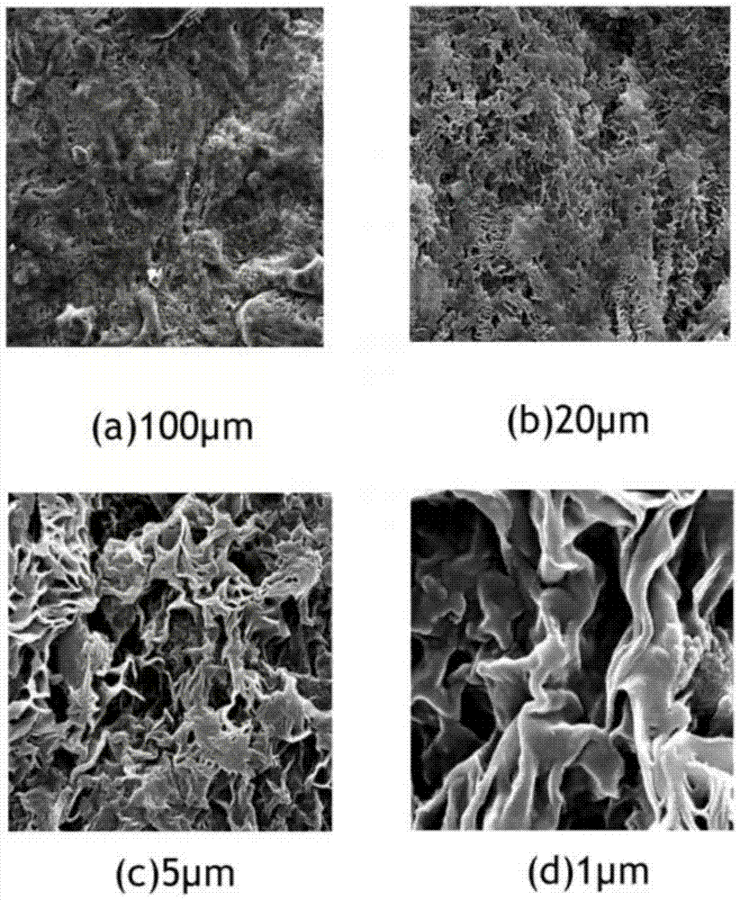 Polycaprolactone silk fibroin electrospun fiber membrane with continuous lamellar micro-nano structure on the surface and its preparation method and application