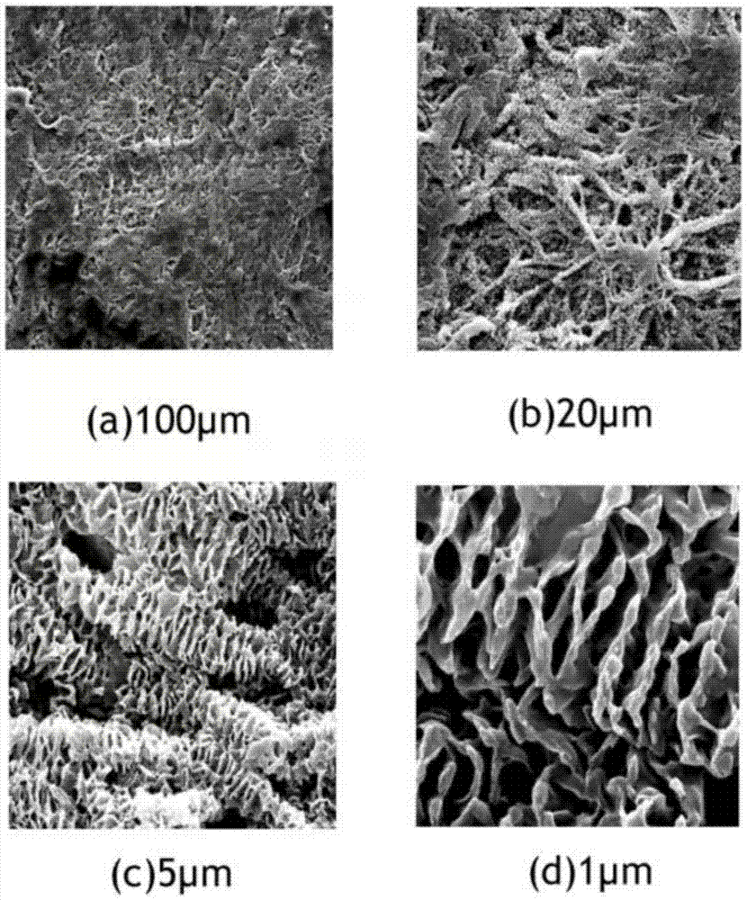 Polycaprolactone silk fibroin electrospun fiber membrane with continuous lamellar micro-nano structure on the surface and its preparation method and application