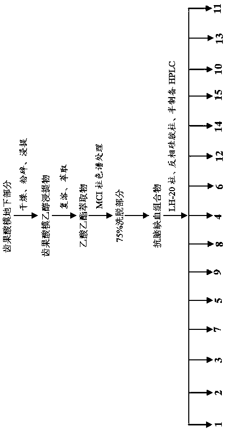 A kind of anti-cerebral ischemia traditional Chinese medicine extract, composition and its preparation and application